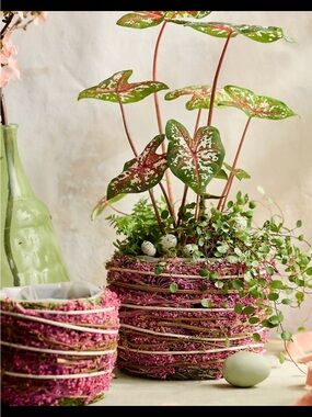 Terrain Pink & Green Woven Decorative Planter with Natural Accents. 7” large.